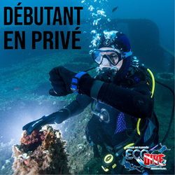 Open Water Diver (privÉ)